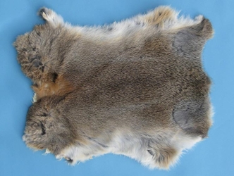 Spanish Garment Rabbit Skin: Bunny Brown 